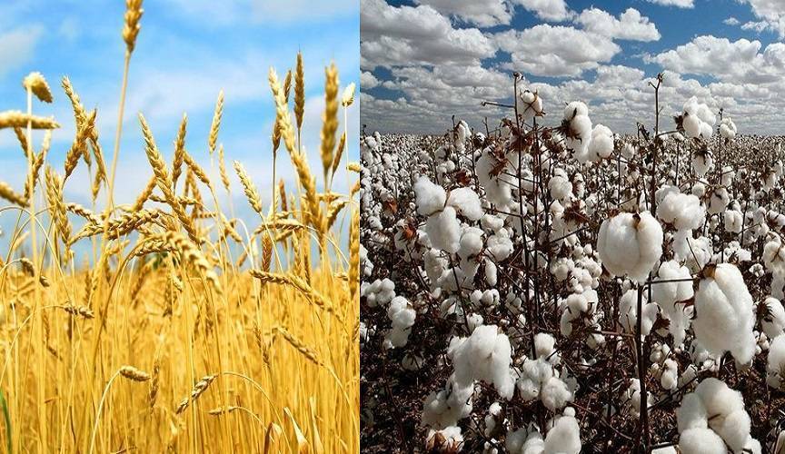 Turkmenistan enhances focus on Agriculture